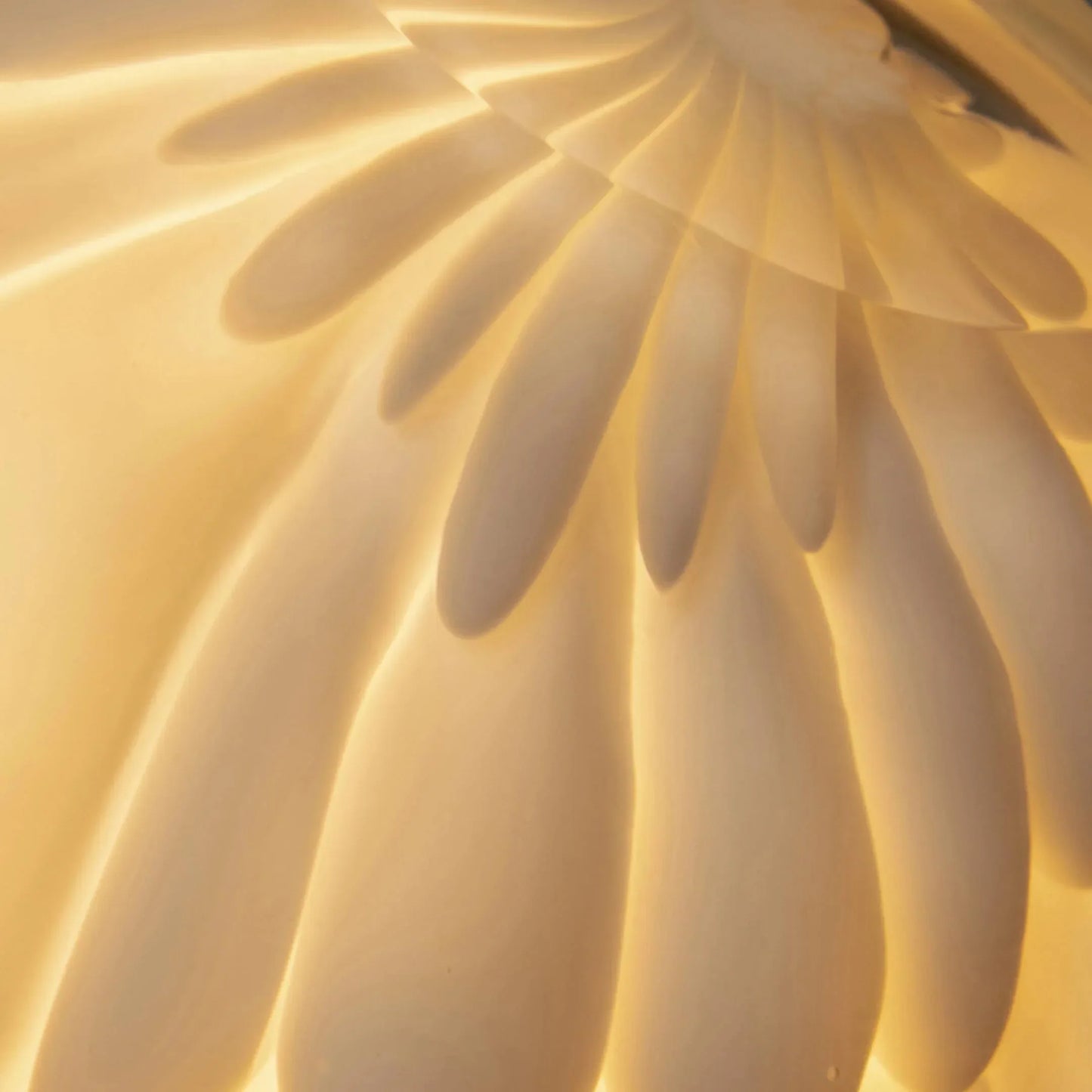 Bocci - 118 Wand- oder Deckenleuchte - sarto Tailored Interiors Group