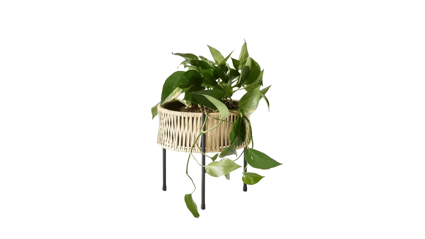 Audo Copenhagen - Audo Copenhgen Planter Umanoff 27 - Pflanzkübel - Sarto Group