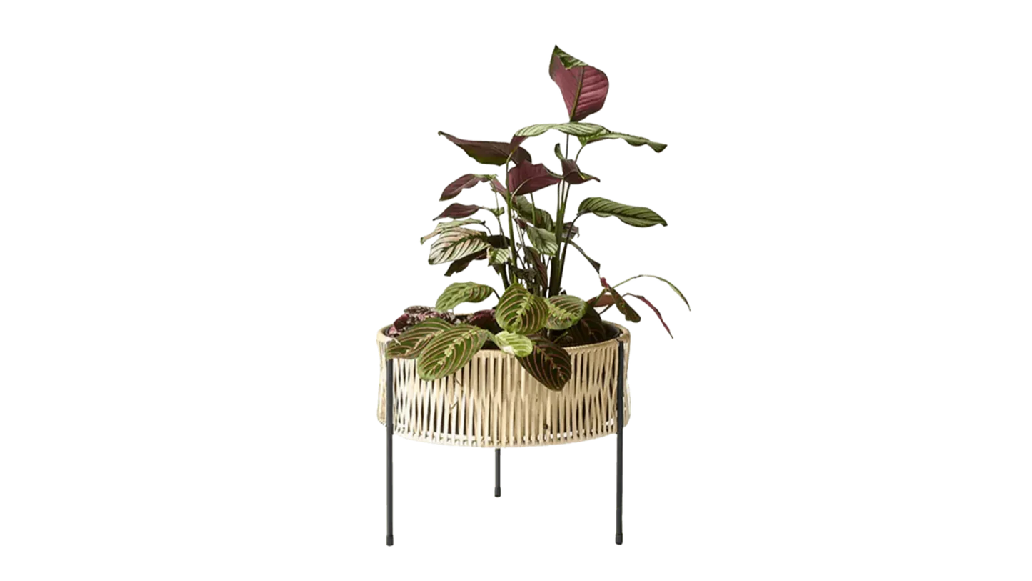 Audo Copenhagen - Audo Copenhgen Planter Umanoff 32,5 - Pflanzkübel - Sarto Group