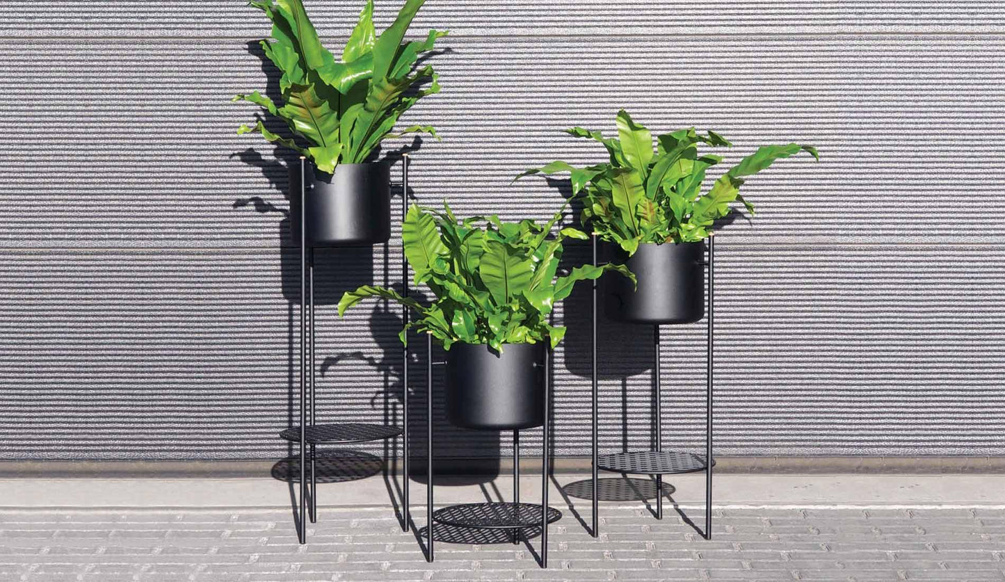 XLBoom - XLBoom Ent Blumenständer - Blumenständer - Sarto Group