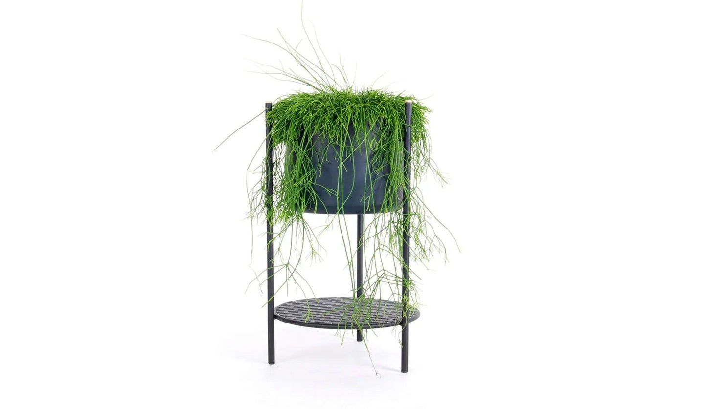 XLBoom - XLBoom Ent Blumenständer - Blumenständer - Sarto Group