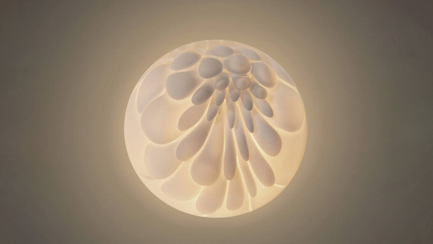 118 Wall or ceiling light