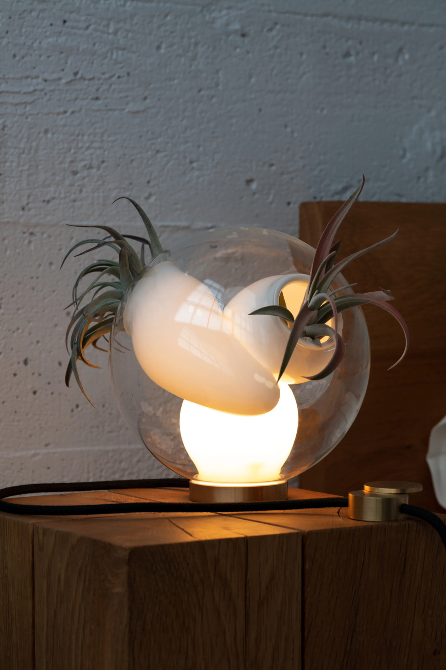 38 Vt Table lamp