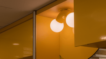 A-N-D - Vine Decken-/Wandleuchte - Wandleuchten - Sarto Group