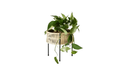 Audo Copenhagen - Audo Copenhgen Planter Umanoff 27 - Pflanzkübel - Sarto Group