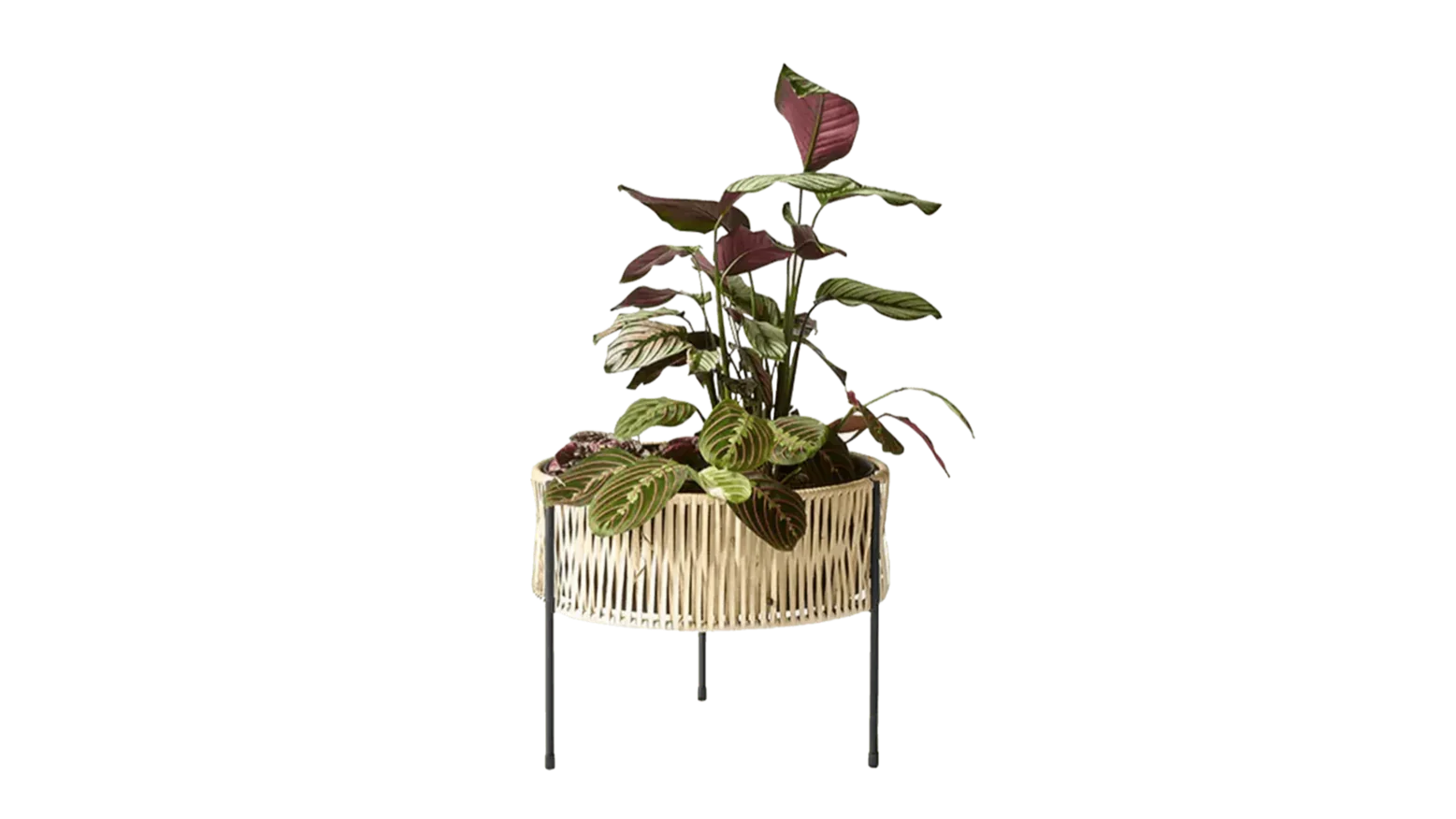 Audo Copenhagen - Audo Copenhgen Planter Umanoff 32,5 - Pflanzkübel - Sarto Group