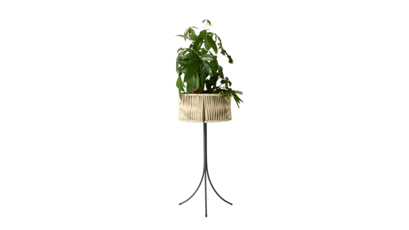 Audo Copenhagen - Audo Copenhgen Planter Umanoff 69 - Pflanzkübel - Sarto Group
