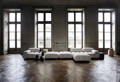 B&B Italia - Camaleonda Sofa - Sofas - Sarto Group