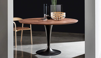 Sovet - Sovet Flûte Tisch | Nussbaum - Esstische - Sarto Group