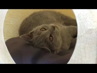 Meyou PARIS - Meyou The Cube Katzenhöhle / Katzenbett | Metall | Dunkelgrau - sarto Group