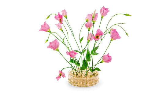 Klong - Klong Äng Pond Vase | Messing - Vasen - Sarto Group