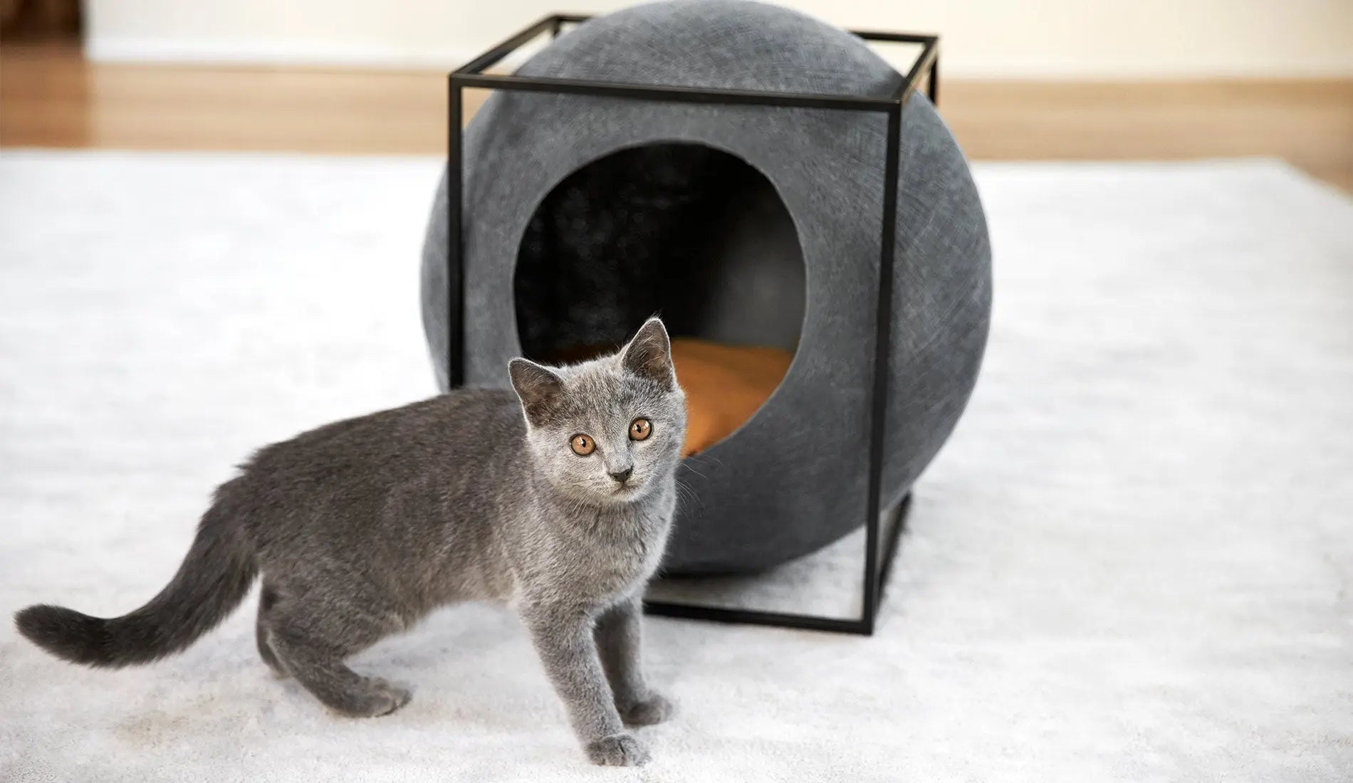 Meyou PARIS - Meyou The Cube Katzenhöhle / Katzenbett | Metall | Dunkelgrau - sarto Group