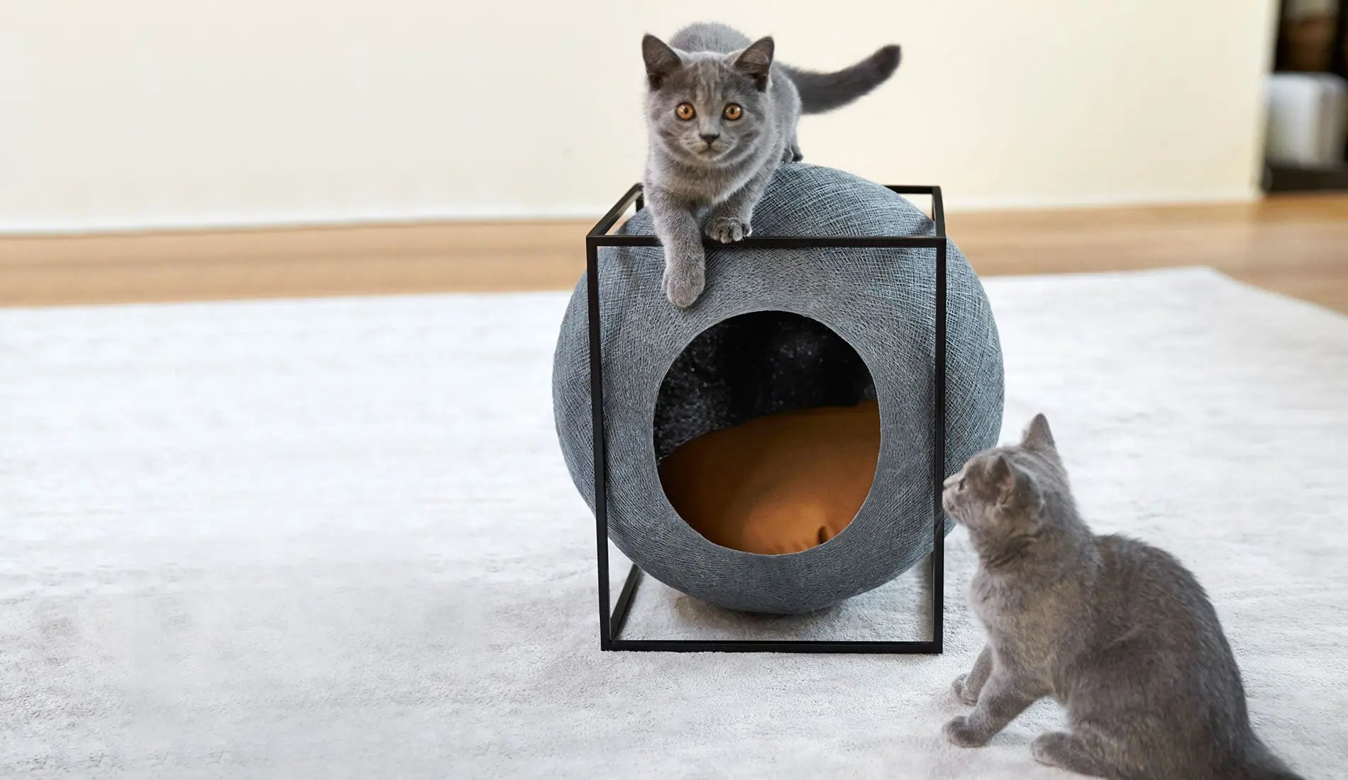 Meyou PARIS - Meyou The Cube Katzenhöhle / Katzenbett | Metall | Dunkelgrau - sarto Group